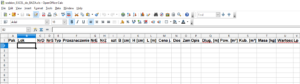 Szablon importu belek z Excel do bazy